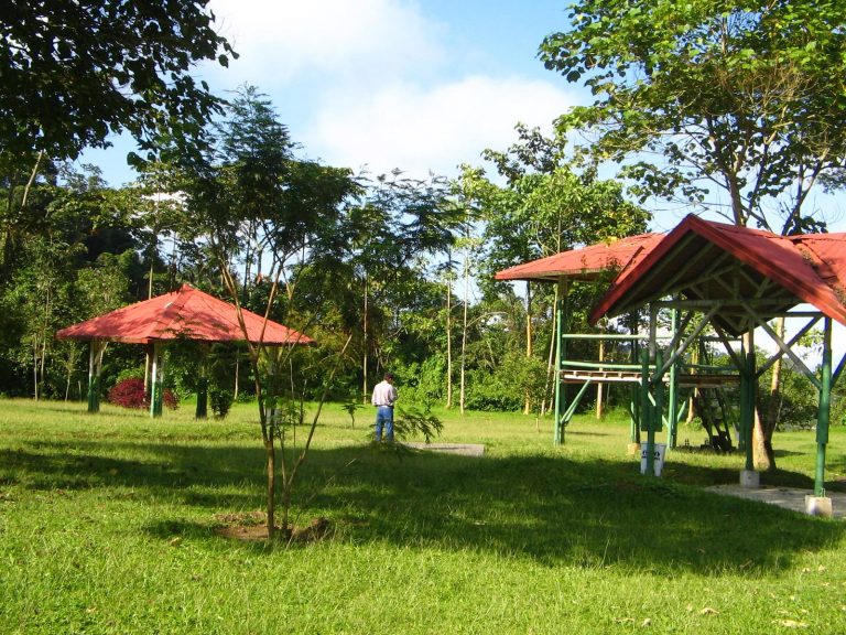 Ecoparque Los Alcázares Arenillo