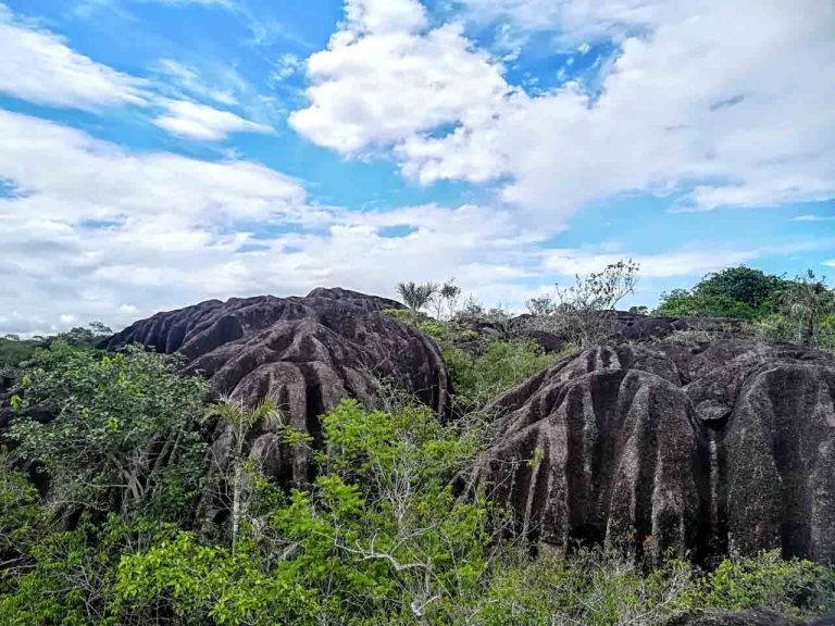 Tips para recorrer el Parque Nacional Natural El Tuparro