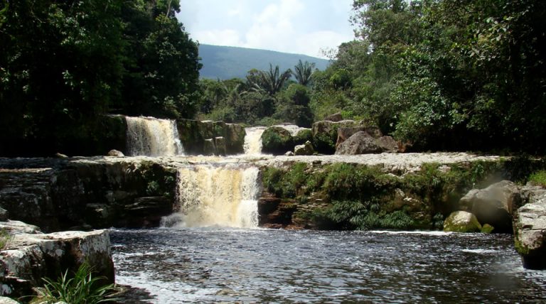 Parque nacional natural tamá