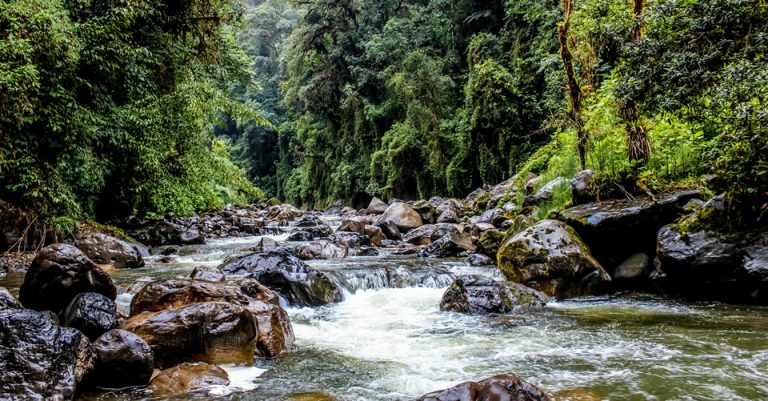 Parque Nacional Natural Pisba