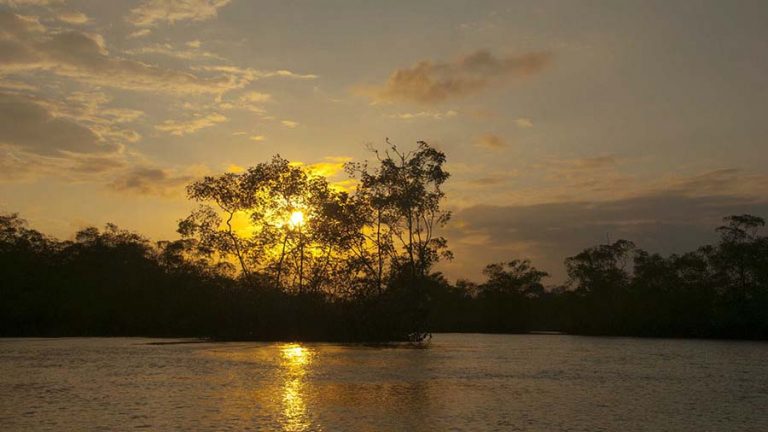 5 razones para visitar el Parque Nacional Natural Sanquianga