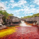 caño-cristales-1