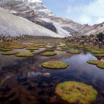 parque-el-cocuy