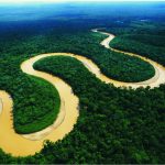 21_thumb_rio-amazonas-2