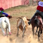 festival-del-corrido-llanero