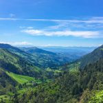 guide-to-hiking-the-valle-de-cocora-colombia