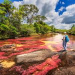 Cano,Cristales,(river,Of,Five,Colors),,La,Macarena,,Meta,,Colombia