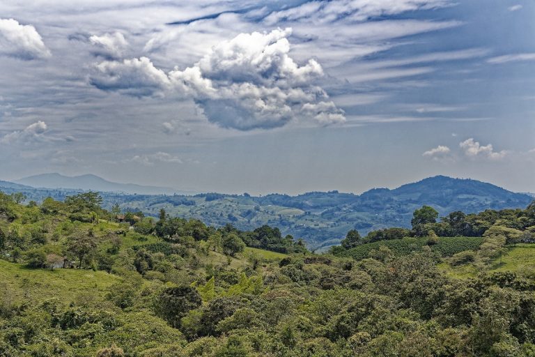 Aniversario de Neiva: descubre lo mejor de esta celebración