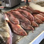 fish-market-2364795_960_720