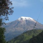 Copo_del_nevado_del_tolima