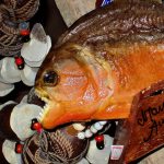 piranha_dangerous_fish_souvenir_native_brazil_amazon-1257013