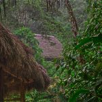 rain_ecuador_rainforest_jungle_raining_napo_amazonas_tena-480974