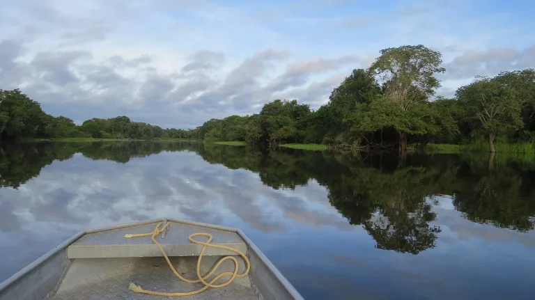 Parque Nacional Natural Amacayacu: un paraíso natural en el corazón del Amazonas