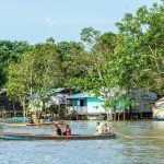 Life on the Amazon River