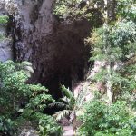 La_Cueva_del_Guacharo