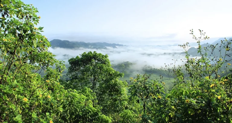 Parque Nacional Natural Serranía de Chiribiquete: el tesoro escondido de la Amazonía