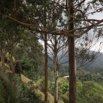 1024px-Paisaje_del_municipio_de_Salento-Quindío_desde_el_alto_de_la_cruz