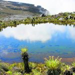 Parque-Natural-Nacional-Los-Paramillo-1024×585