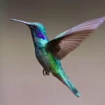 hummingbird-2139279_1280