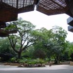 Jardín_botánico.Orquideorama-Medellín