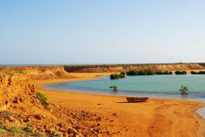 guajira