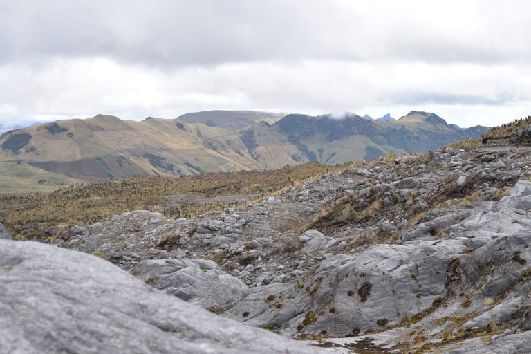 Todo sobre el Parque Nacional Natural Los Nevados