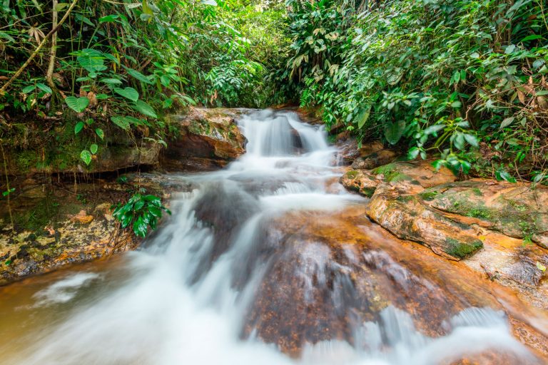 Bañadero Las Pailas: un encanto natural en Florencia, Caquetá