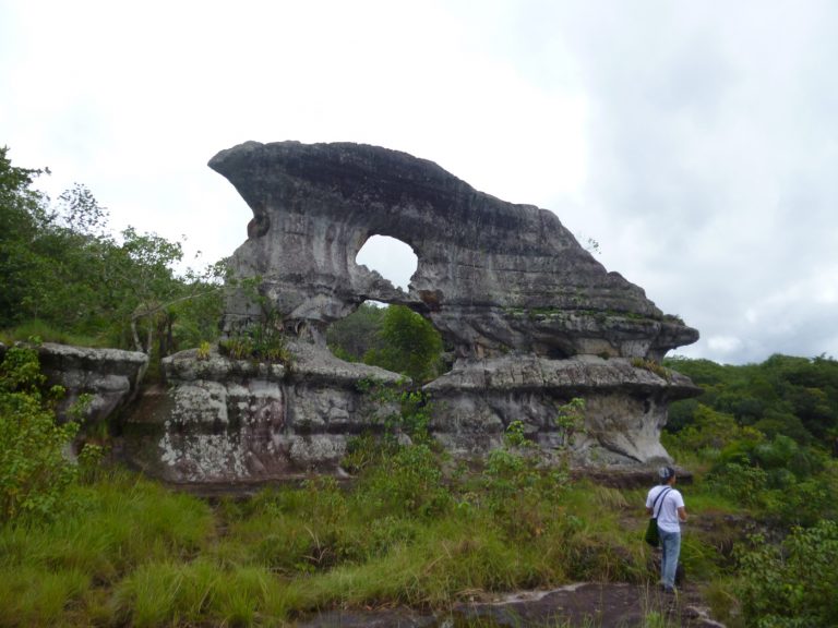 san josé del guaviare