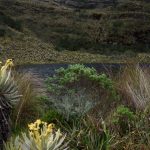 Laguna de UBAQUE Turismo Muisca