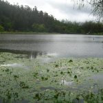 Laguna de Ubaque Ecoglobal