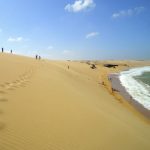 TOUR EN LA GUAJIRA