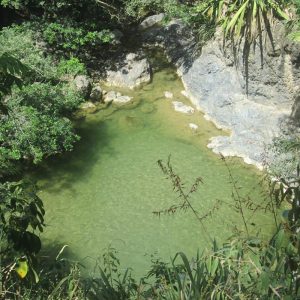 Cascadas de Payandé. Foto:colombiapura2.blogspot.com