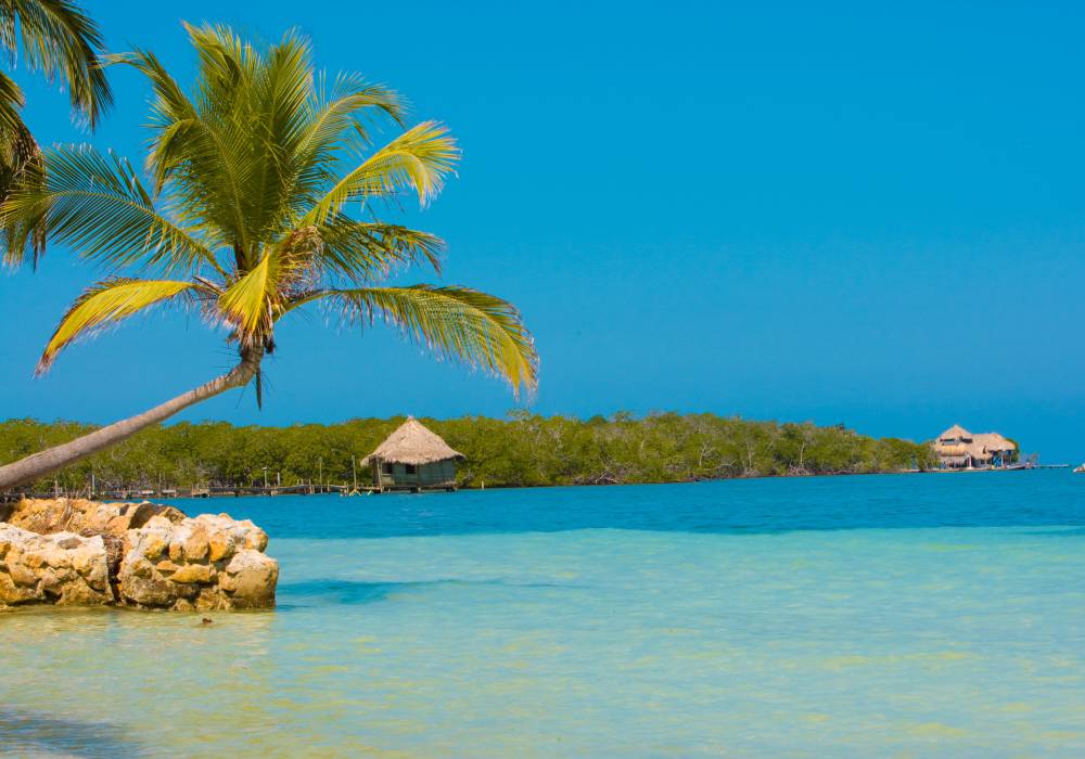 Isla de Tintipán: descubre la magia de este destino en el mar Caribe