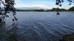 cerca a neiva