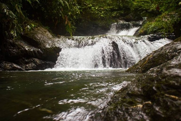 charco gran piscina de pericos