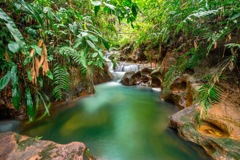 Parque Ecológico el Paraíso de Pedro