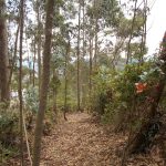 Parque ecológico Carmen de los juncales