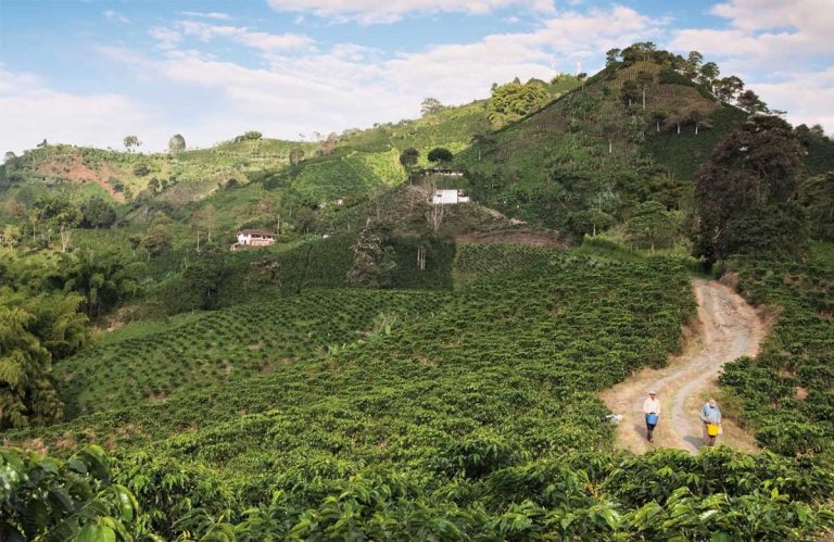 café en colombia