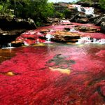 META-CAÑO-CRISTALES-0