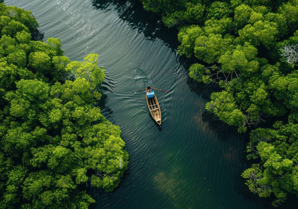 Bote sobre el río a través de bosques frondosos.