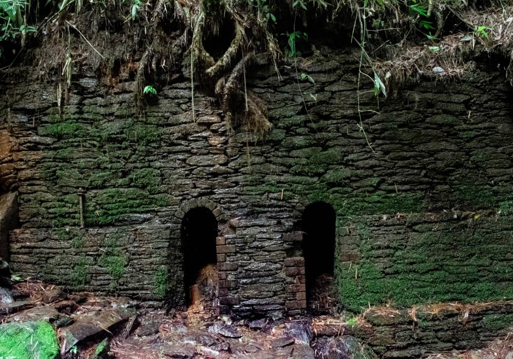 Ruinas de la Ciudad Perdida, Falan.