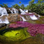 ogrunewald_cano_cristales_24_1800x1201