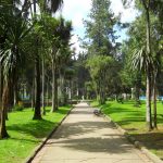 camino_en_el_parque_nacional_de_bogota