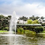 nodo_jardin_botanico_lago