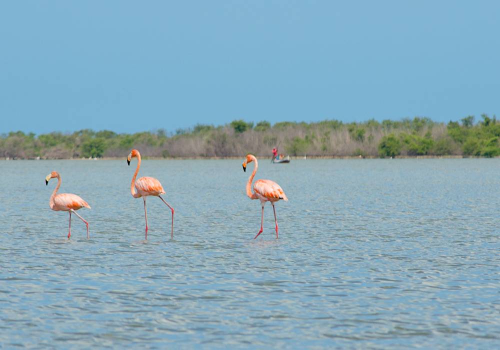 Playa de Camarones: relájate en este remanso de la Guajira