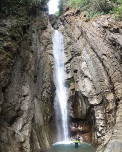 palmichal