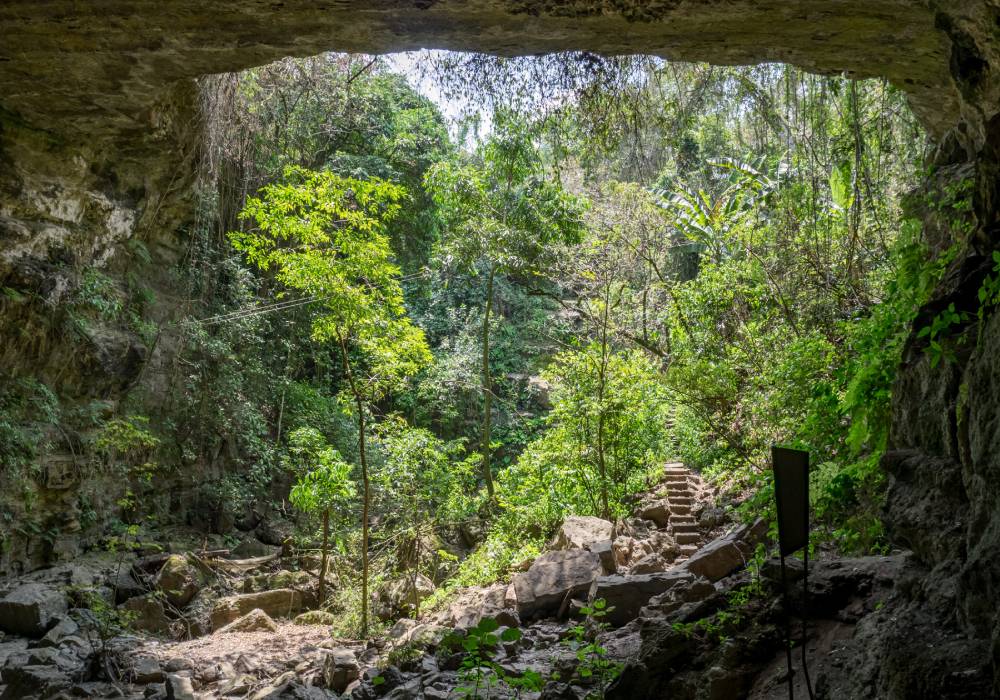 Sitios turísticos de Santander: conoce los espacios naturales más atractivos de este departamento