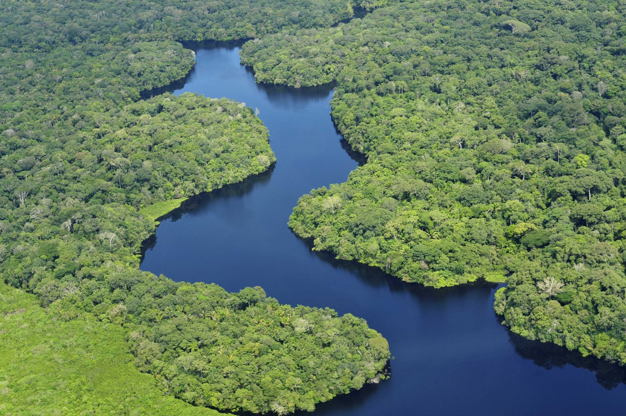 Colima Selvas Selva colombiana: descubre sus principales atractivos turísticos