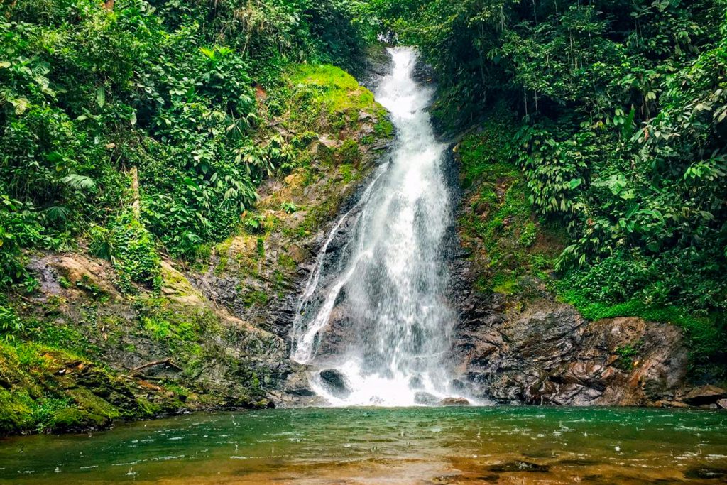 Colima Selvas Selva colombiana: descubre sus principales atractivos turísticos