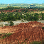 neiva-220×150
